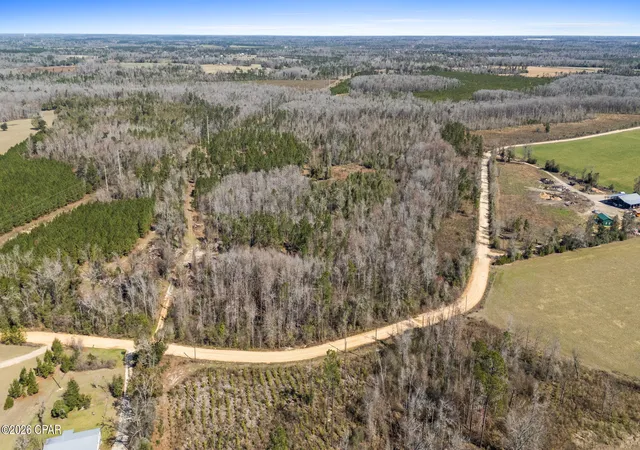 Photo 3 of Land for sale at 0 Swaills Rd, Alford, FL 32420 | MLS# 785954 | Listing updated on 2026-09-10