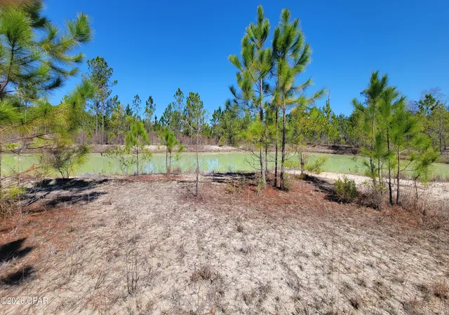 Photo 1 of Sale Pending at Tbd City Sq Rd, Alford, FL 32420 | MLS# 786123 | Listing updated on 2026-08-26