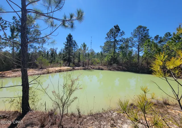 Photo 2 of Sale Pending at Tbd City Sq Rd, Alford, FL 32420 | MLS# 786123 | Listing updated on 2026-08-26