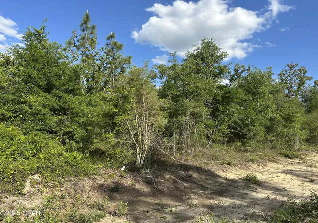 Photo 1 of Land for sale at 0000 Nw Lakeside Ave #LOT 16 & 17, Altha, FL 32421 | MLS# 786266 | Listing updated on 2026-08-03