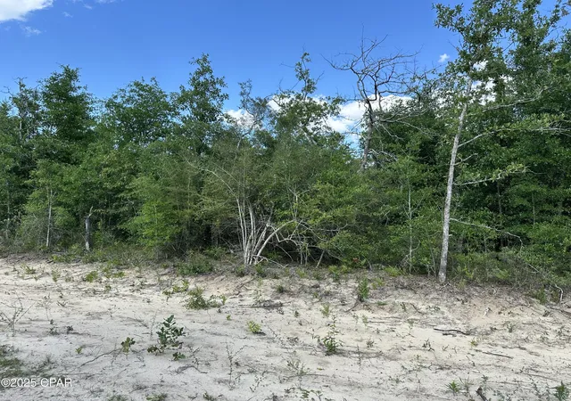Photo 3 of Land for sale at 0000 Nw Lakeside Ave #LOT 16 & 17, Altha, FL 32421 | MLS# 786266 | Listing updated on 2026-08-03