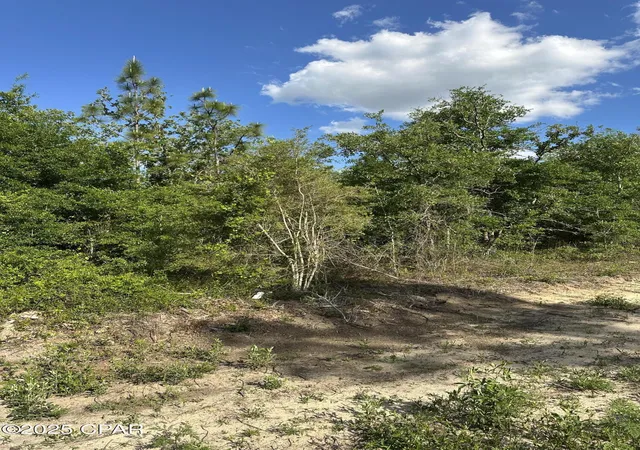 Photo 3 of Land for sale at 0000 NW Lakeside Ave #LOT 16 & 17, Altha, FL 32421 | MLS# 786266 | Listing updated on 2026-08-03
