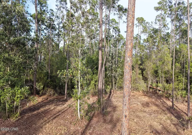 Photo 3 of Land for sale at 917 Watermark Way, Panama City, FL 32404 | MLS# 787035 | Listing updated on 2026-08-29