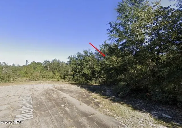 Photo 2 of Land for sale at 38 Malaluka Ct, Chipley, FL 32428 | MLS# 787159 | Listing updated on 2026-09-11