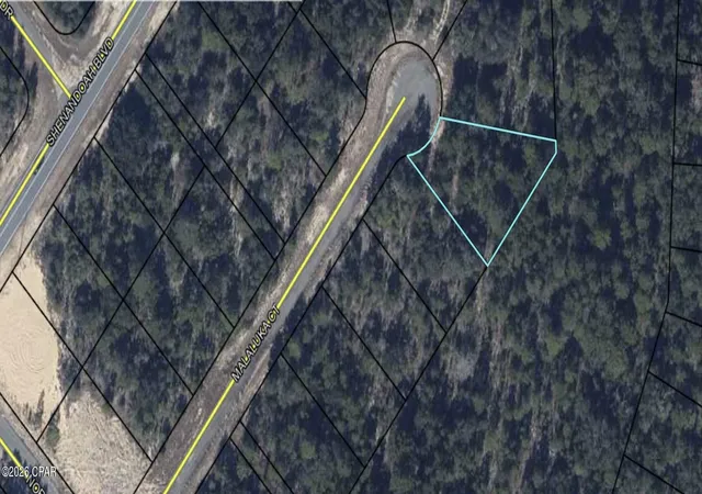 Photo 4 of Land for sale at 38 Malaluka Ct, Chipley, FL 32428 | MLS# 787159 | Listing updated on 2026-09-11