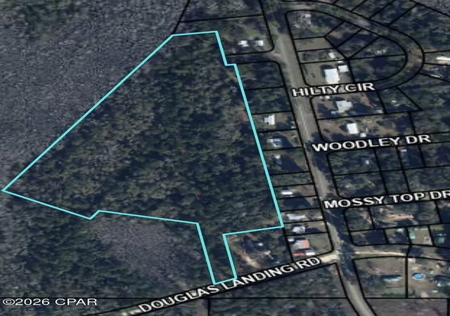 Photo 3 of Land for sale at Tbd Douglas Landing Rd, Wewahitchka, FL 32465 | MLS# 787176 | Listing updated on 2026-08-17