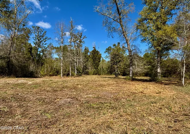 Photo 2 of Land for sale at 703 W River Rd, Wewahitchka, FL 32465 | MLS# 787185 | Listing updated on 2026-09-07