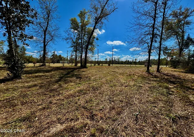 Photo 3 of Land for sale at 703 W River Rd, Wewahitchka, FL 32465 | MLS# 787185 | Listing updated on 2026-09-07