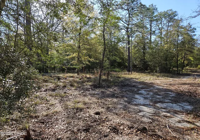 Photo 2 of Sale Pending at 000 Preakness Pl, Chipley, FL 32428 | MLS# 787187 | Listing updated on 2026-08-25