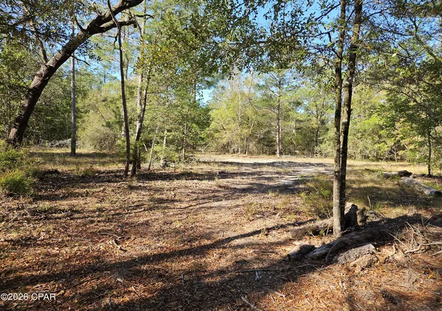 Photo 3 of Sale Pending at 000 Preakness Pl, Chipley, FL 32428 | MLS# 787187 | Listing updated on 2026-08-25
