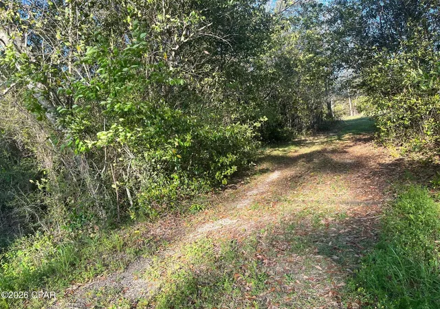 Photo 2 of Land for sale at 00 Main St, Grand Ridge, FL 32442 | MLS# 787190 | Listing updated on 2026-08-25