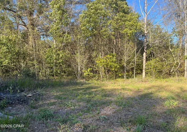 Photo 3 of Land for sale at 00 Main St, Grand Ridge, FL 32442 | MLS# 787190 | Listing updated on 2026-08-25