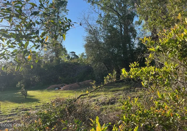 Photo 4 of Land for sale at 00 Main St, Grand Ridge, FL 32442 | MLS# 787190 | Listing updated on 2026-08-25