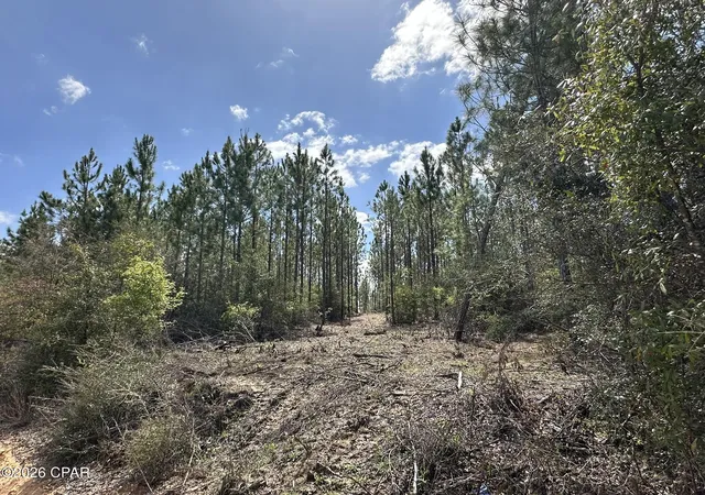 Photo 3 of Land for sale at Tract#6418 Mattox Springs Rd #S3, Caryville, FL 32427 | MLS# 787240 | Listing updated on 2026-09-08