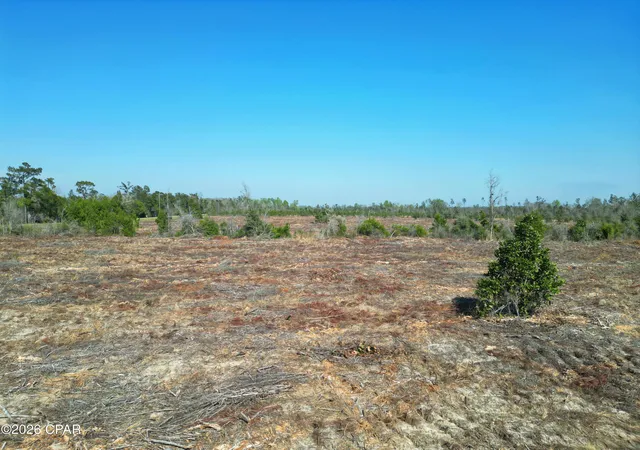 Photo 3 of Sale Pending at Tbd Sw Lot #2 County Rd 275, Blountstown, FL 32424 | MLS# 787463 | Listing updated on 2026-09-09