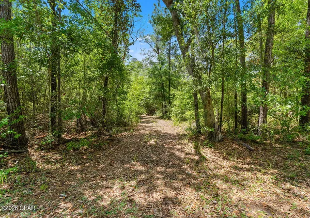 Photo 3 of Land for sale at 0 Cypress Ln, Chipley, FL 32428 | MLS# 788241 | Listing updated on 2026-09-17
