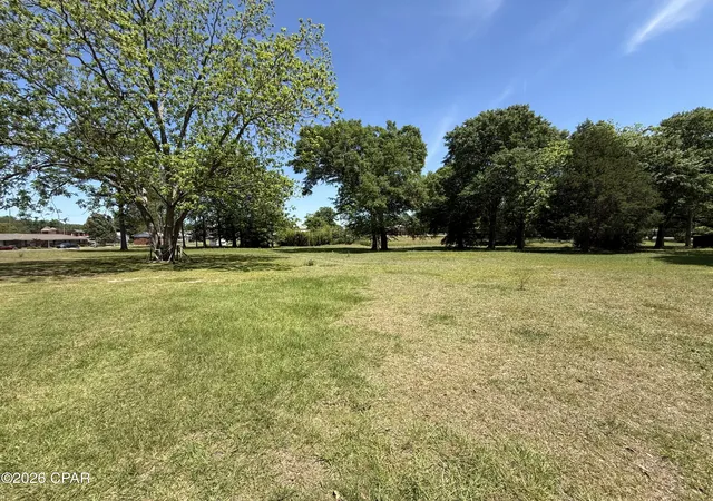 Photo 1 of Land for sale at 00 White Ave, Graceville, FL 32440 | MLS# 788938 | Listing updated on 2026-08-24