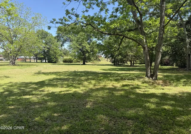 Photo 2 of Land for sale at 00 White Ave, Graceville, FL 32440 | MLS# 788938 | Listing updated on 2026-08-24