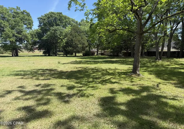 Photo 3 of Land for sale at 00 White Ave, Graceville, FL 32440 | MLS# 788938 | Listing updated on 2026-08-24