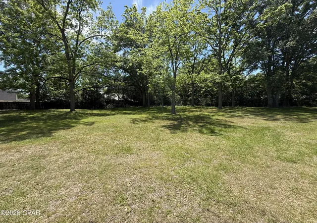 Photo 4 of Land for sale at 00 White Ave, Graceville, FL 32440 | MLS# 788938 | Listing updated on 2026-08-24