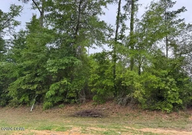 Photo 1 of Land for sale at 000 W Idlewood Dr, Wewahitchka, FL 32465 | MLS# 788986 | Listing updated on 2026-08-24