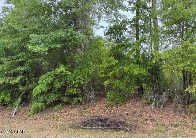 Photo 2 of Land for sale at 000 W Idlewood Dr, Wewahitchka, FL 32465 | MLS# 788986 | Listing updated on 2026-08-24
