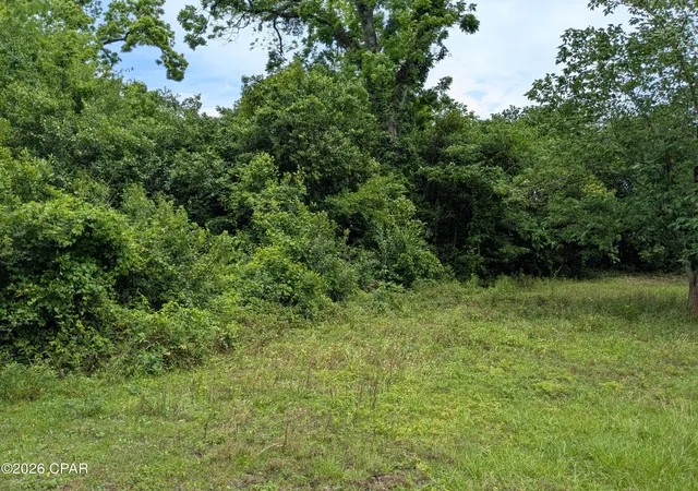 Photo 2 of Land for sale at 2816 St Johns St, Marianna, FL 32448 | MLS# 789559 | Listing updated on 2026-07-31