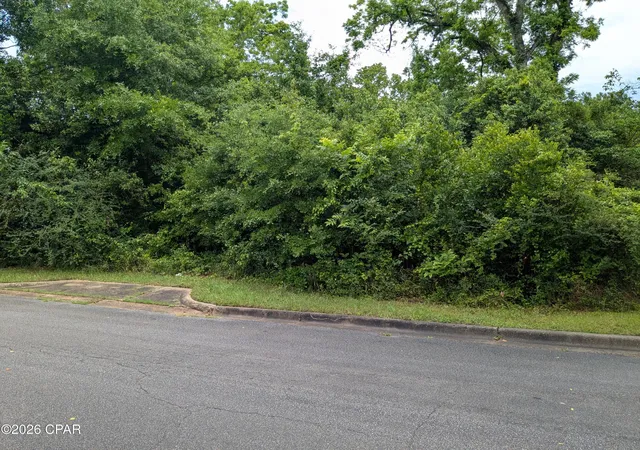 Photo 3 of Land for sale at 2816 St Johns St, Marianna, FL 32448 | MLS# 789559 | Listing updated on 2026-07-31