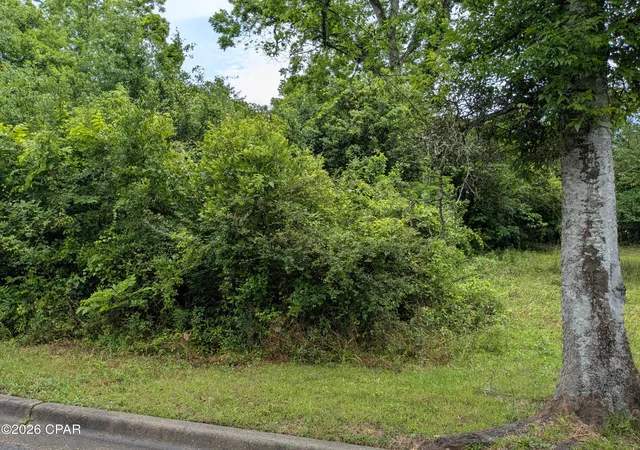 Photo 3 of Land for sale at 2816 St Johns St, Marianna, FL 32448 | MLS# 789559 | Listing updated on 2026-07-31