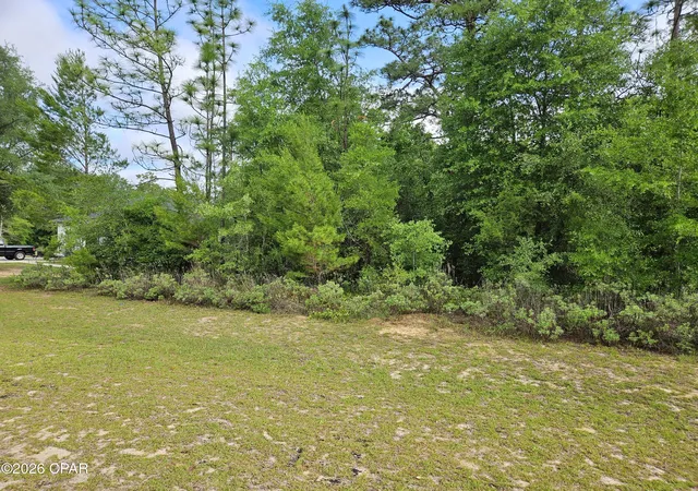 Photo 2 of Land for sale at Lot 29 Shenandoah Blvd, Chipley, FL 32428 | MLS# 789688 | Listing updated on 2026-09-08