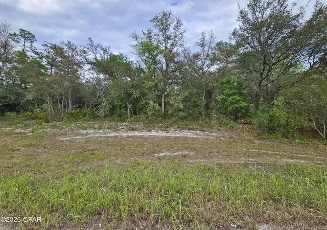 Photo 2 of Land for sale at Lot 4 Byrd Blvd, Chipley, FL 32428 | MLS# 789691 | Listing updated on 2026-09-08