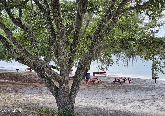 Photo 4 of Land for sale at Lot 4 Byrd Blvd, Chipley, FL 32428 | MLS# 789691 | Listing updated on 2026-09-08