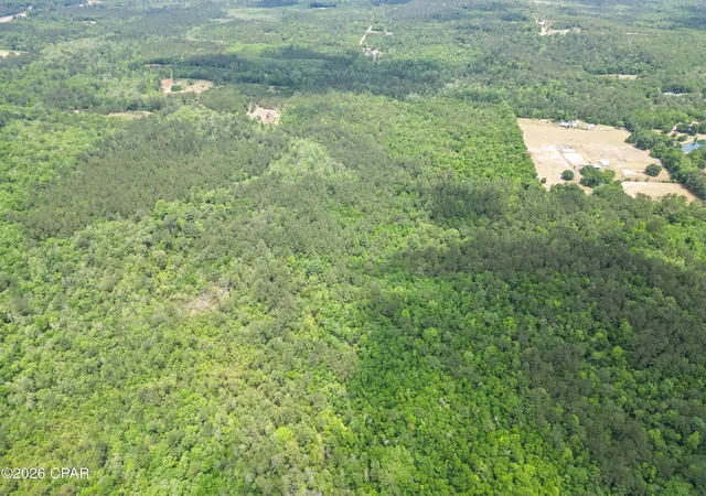 Photo 2 of Land for sale at 0000 Avon St, Chipley, FL 32428 | MLS# 790234 | Listing updated on 2026-09-11