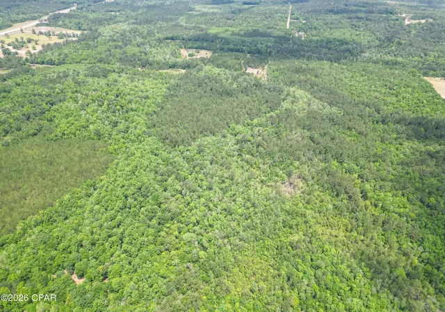 Photo 3 of Land for sale at 0000 Avon St, Chipley, FL 32428 | MLS# 790234 | Listing updated on 2026-09-11
