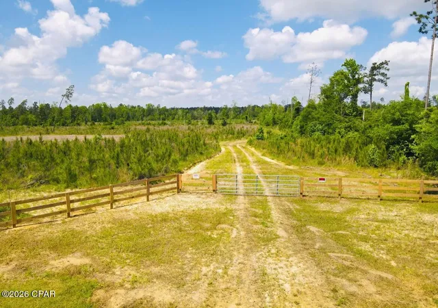 Photo 1 of Sale Pending at Tbd Sinai Rd, Sneads, FL 32460 | MLS# 790322 | Listing updated on 2026-07-31