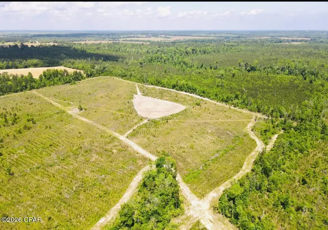 Photo 4 of Sale Pending at Tbd Sinai Rd, Sneads, FL 32460 | MLS# 790322 | Listing updated on 2026-07-31