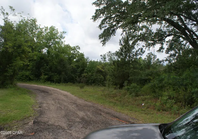 Photo 3 of Sale Pending at 0 Highway 90, Marianna, FL 32448 | MLS# 790361 | Listing updated on 2026-09-08