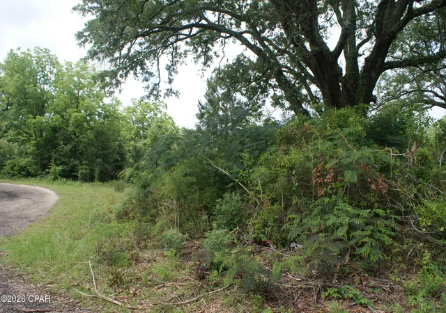 Photo 4 of Sale Pending at 0 Highway 90, Marianna, FL 32448 | MLS# 790361 | Listing updated on 2026-09-08