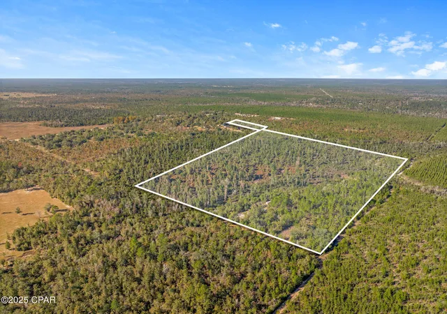 Land for sale at 64 NW Acres County Rd 274, Altha, FL 32421 | MLS# 790955