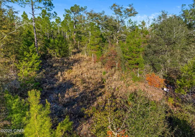 Photo 1 of Land for sale at 64 NW Acres County Rd 274, Altha, FL 32421 | MLS# 790955 | Listing updated on 2026-08-26