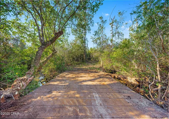 Photo 2 of Land for sale at 64 NW Acres County Rd 274, Altha, FL 32421 | MLS# 790955 | Listing updated on 2026-08-26