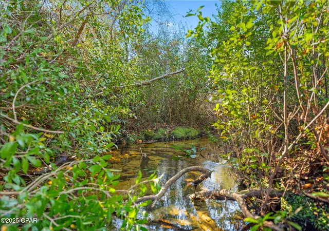 Photo 3 of Land for sale at 64 NW Acres County Rd 274, Altha, FL 32421 | MLS# 790955 | Listing updated on 2026-08-26