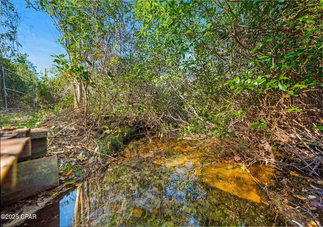 Photo 4 of Land for sale at 64 NW Acres County Rd 274, Altha, FL 32421 | MLS# 790955 | Listing updated on 2026-08-26