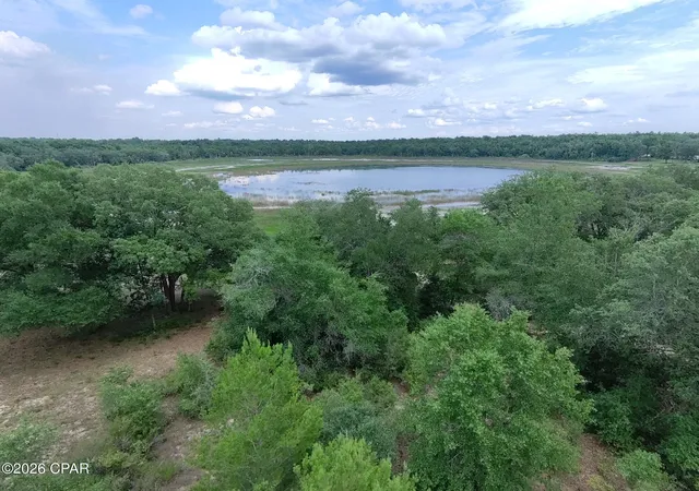 Land for sale at Lot 16 Chapel Ave, Chipley, FL 32428 | MLS# 791077