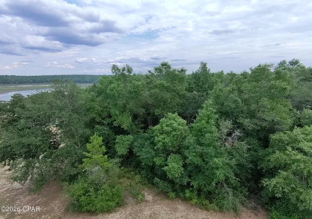 Photo 4 of Land for sale at Lot 16 Chapel Ave, Chipley, FL 32428 | MLS# 791077 | Listing updated on 2026-10-05