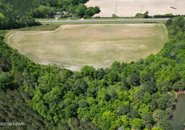 Photo 3 of Land for sale at 0000 Peanut Rd, Graceville, FL 32440 | MLS# 791200 | Listing updated on 2026-08-28