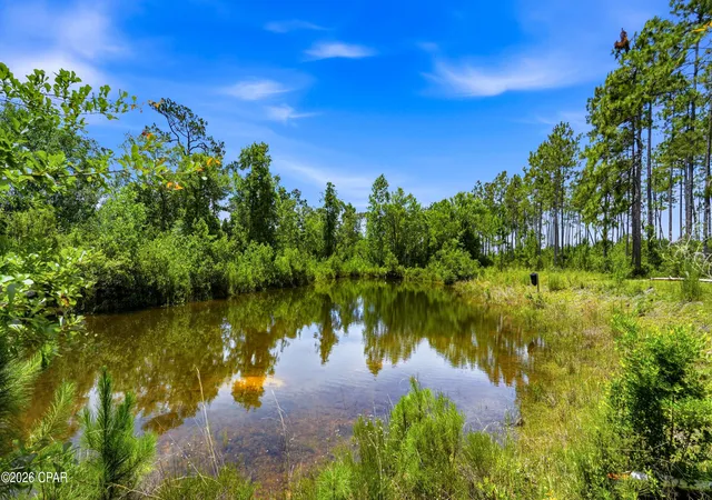 Photo 3 of Single family home for sale at 705 Cornwell Rd, Alford, FL 32420 | MLS# 791249 | Listing updated on 2026-08-03