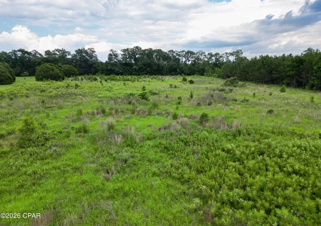 Photo 4 of Sale Pending at Highway 77, Chipley, FL 32428 | MLS# 791310 | Listing updated on 2026-08-31