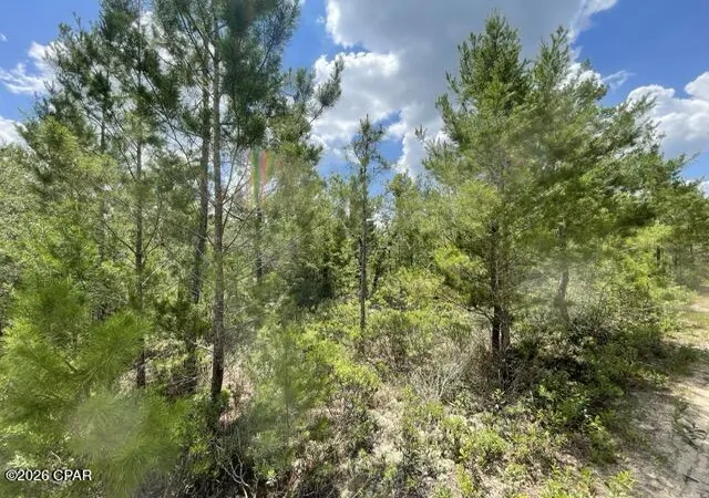 Photo 2 of Sale Pending at 000b Nw Lake Lillian Ave, Fountain, FL 32438 | MLS# 791320 | Listing updated on 2026-09-12