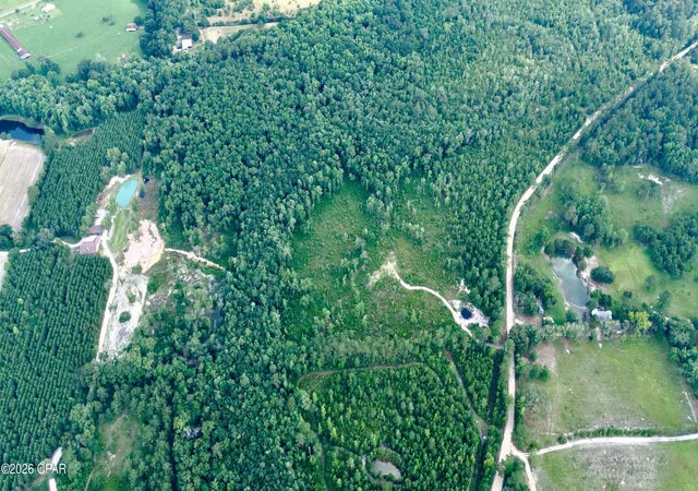 Photo 2 of Sale Pending at 20 Acres Curry Fry Rd, Bonifay, FL 32425 | MLS# 791472 | Listing updated on 2026-09-22